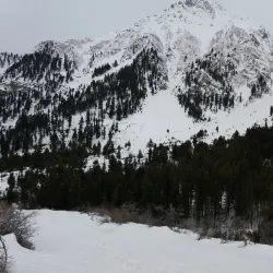 Naltar Ski Resort - Gilgit