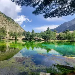 Naltar Valley - Gilgit