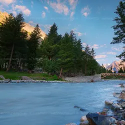 Naltar Valley - Gilgit