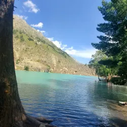 Naltar Valley - Gilgit