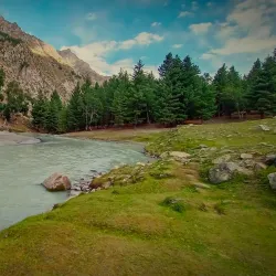 Naltar Valley - Gilgit