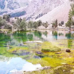 Naltar Valley - Gilgit