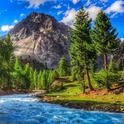 Naltar Valley - Gilgit