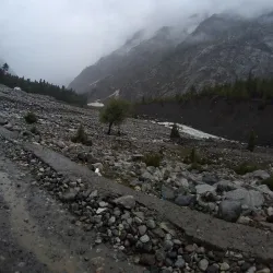 Naltar Wildlife Sanctuary - Gilgit