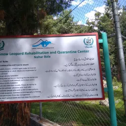 Naltar Wildlife Sanctuary - Gilgit
