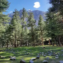 Naltar Wildlife Sanctuary - Gilgit