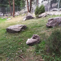 Naltar Wildlife Sanctuary - Gilgit