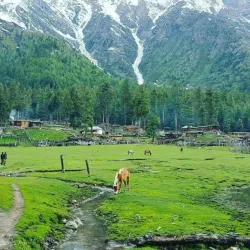 Shandur Pass - Gilgit
