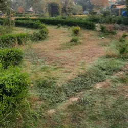 Chakri Interchange Park - Gujrat