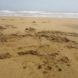 Princess of Hope - Gwadar