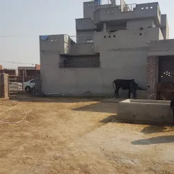 Agricultural Fields and Farm Tours - Hafizabad