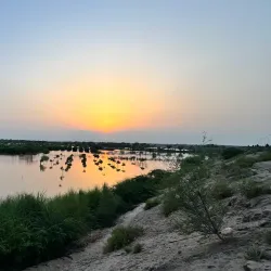 Chenab River Bank - Hafizabad
