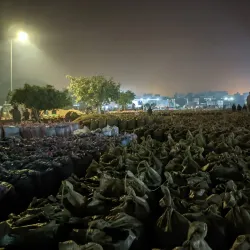 Hafizabad Rice Market - Hafizabad