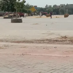Hafizabad Rice Market - Hafizabad