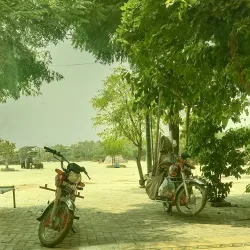 Hafizabad Rice Market - Hafizabad