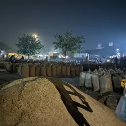 Hafizabad Rice Market - Hafizabad