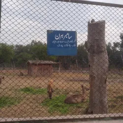 Bahawalnagar District Museum - Haroonabad