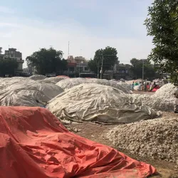 Local Mosques of Haroonabad - Haroonabad