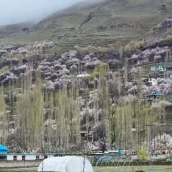 Hopper Glacier - Hunza