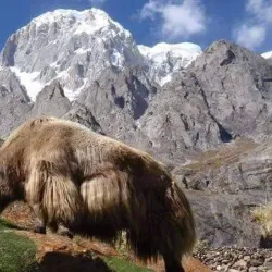 Karimabad Village - Hunza