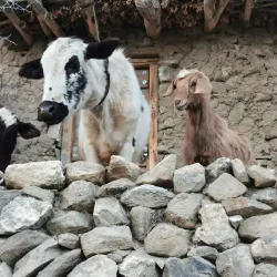 Karimabad Village - Hunza