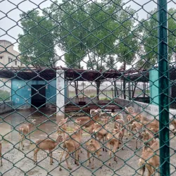 Rani Bagh Zoo - Hyderabad