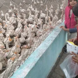 Rani Bagh Zoo - Hyderabad