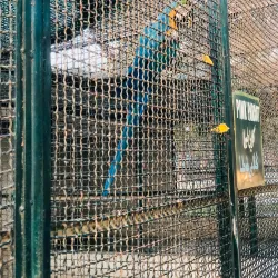 Rani Bagh Zoo - Hyderabad