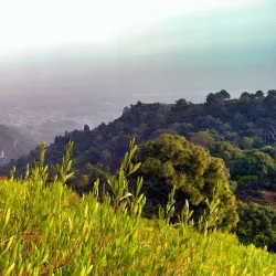 Margalla Hills National Park - Islamabad
