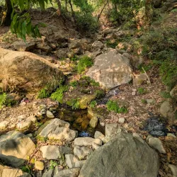 Margalla Hills National Park - Islamabad