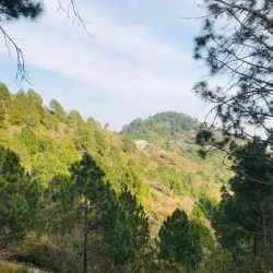Margalla Hills National Park - Islamabad