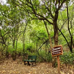 Margalla Hills National Park - Islamabad