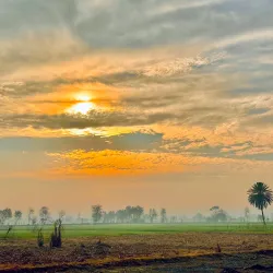 Jhang Museum - Jhang