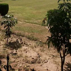 Jhelum Museum - Jhelum