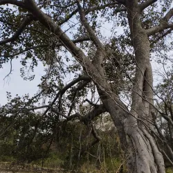 Tilla Jogian - Jhelum