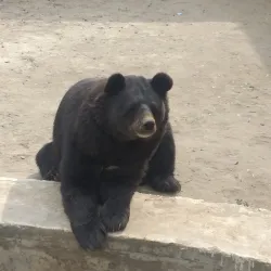 Kamalia Public Park - Kamalia