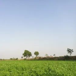 Gujranwala City (Nearby) - Kamoke