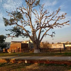 Kamoke Railway Station - Kamoke