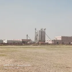 Kamoke Rice Market - Kamoke