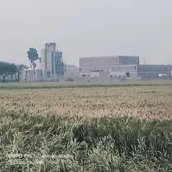 Kamoke Rice Market - Kamoke