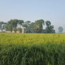 Nearby Villages - Kamoke