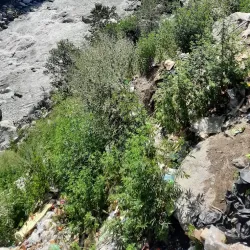 Ravi River Bank - Kamoke