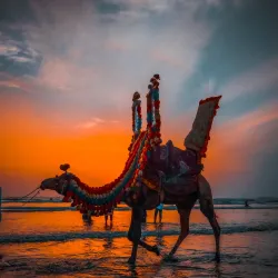 Clifton Beach - Karachi