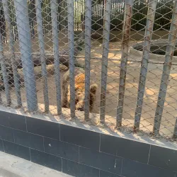 Karachi Zoo - Karachi