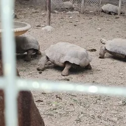 Karachi Zoo - Karachi