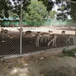 Karachi Zoo - Karachi