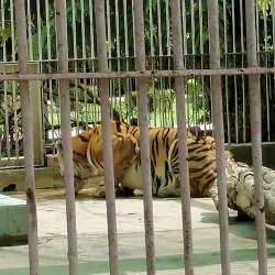 Karachi Zoo - Karachi