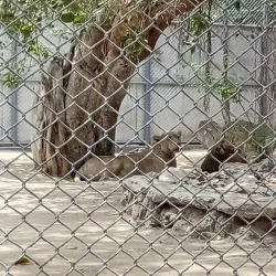 Karachi Zoo - Karachi