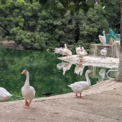 Karachi Zoo - Karachi
