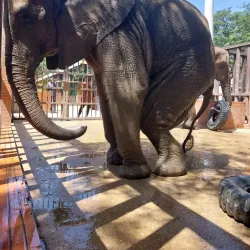 Karachi Zoo - Karachi